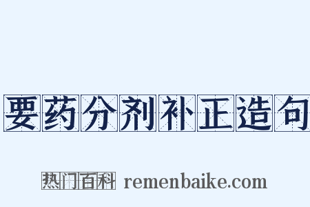 要药分剂补正造句是什么意思的图片